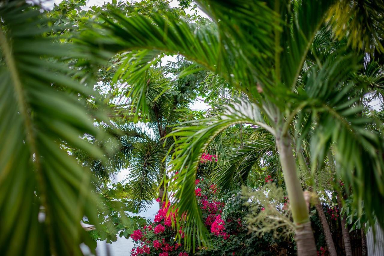 Soul Villas - Beachfront Private Pool Villas, Phuket Nature Retreat Cape Panwa Bagian luar foto